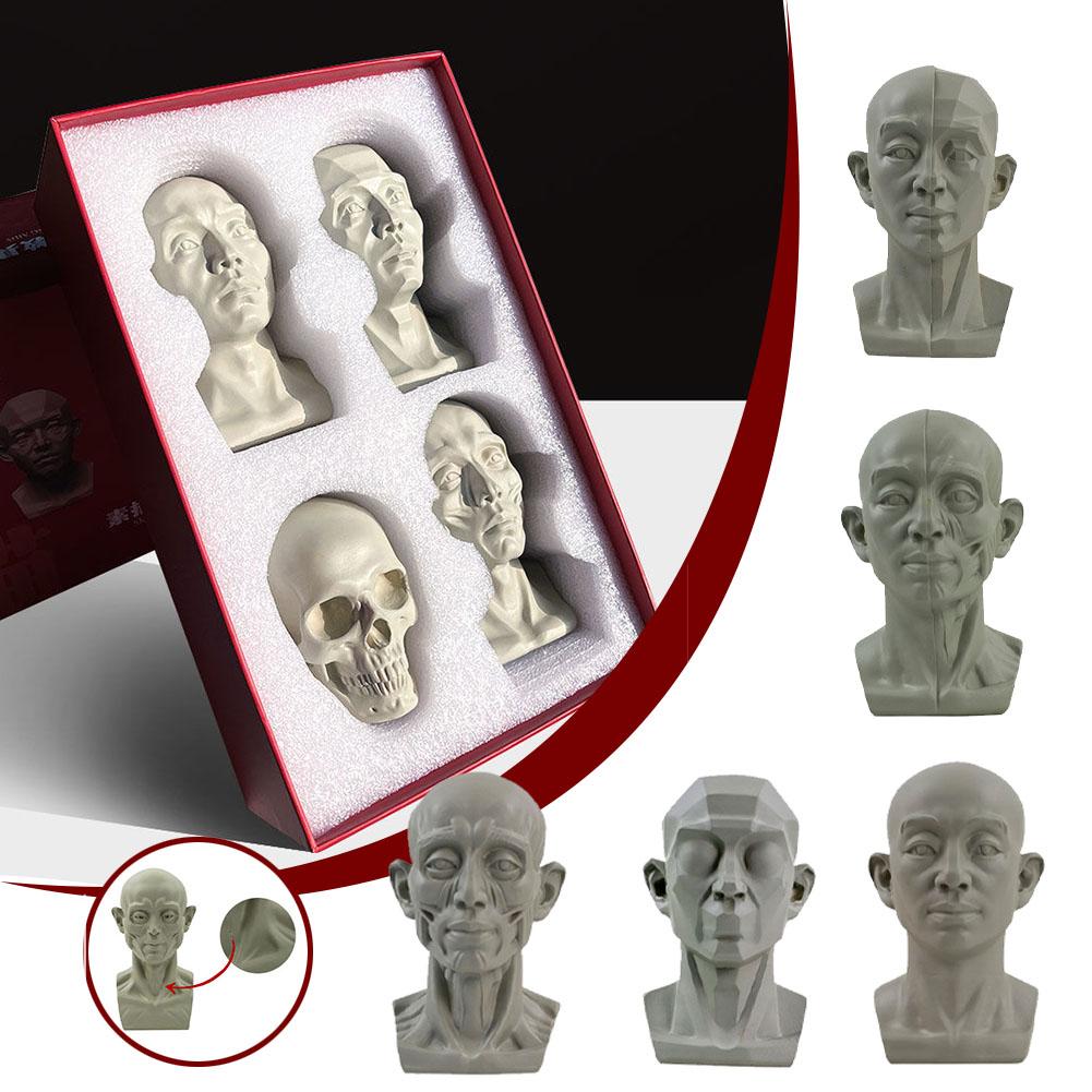 Art Plaster Portrait Teaching  - Resin Art Learning review and price